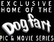 we have been reselling dogfarts lengendary sites since they opened in 99 and we still have rebilling members since 99 !!